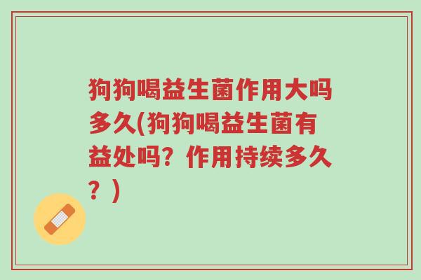 狗狗喝益生菌作用大吗多久(狗狗喝益生菌有益处吗?作用持续多久?)-第1张图片-超越 狗狗喝益生菌作用大吗多久(狗狗喝益生菌有益处吗?作用持续多久?)-第1张图片-超越