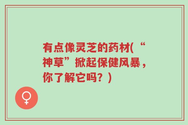 有点像灵芝的药材(“神草”掀起保健风暴,你了解它吗?)-第1张图片-超越 有点像灵芝的药材(“神草”掀起保健风暴,你了解它吗?)-第1张图片-超越