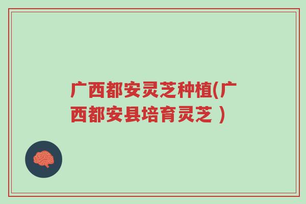 广西都安灵芝种植(广西都安县培育灵芝 )-第1张图片-超越 广西都安灵芝种植(广西都安县培育灵芝 )-第1张图片-超越