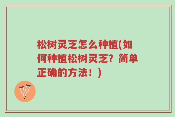 松树灵芝怎么种植(如何种植松树灵芝?简单正确的方法!)-第1张图片-超越 松树灵芝怎么种植(如何种植松树灵芝?简单正确的方法!)-第1张图片-超越