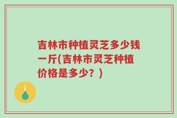 吉林市种植灵芝多少钱一斤(吉林市灵芝种植价格是多少?)-第1张图片-超越 吉林市种植灵芝多少钱一斤(吉林市灵芝种植价格是多少?)-第1张图片-超越