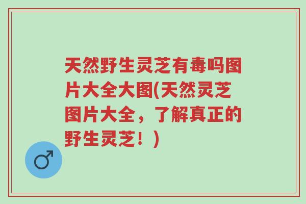 天然野生灵芝有毒吗图片大全大图(天然灵芝图片大全,了解真正的野生灵芝!)-第1张图片-超越 天然野生灵芝有毒吗图片大全大图(天然灵芝图片大全,了解真正的野生灵芝!)-第1张图片-超越