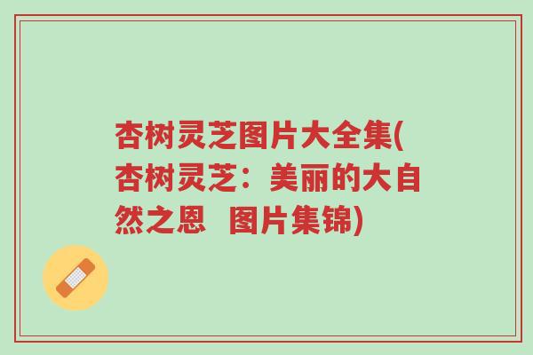 杏树灵芝图片大全集(杏树灵芝：美丽的大自然之恩  图片集锦)-第1张图片-超越