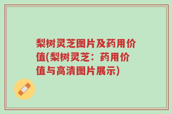 梨树灵芝图片及药用价值(梨树灵芝:药用价值与高清图片展示)-第1张图片-超越 梨树灵芝图片及药用价值(梨树灵芝:药用价值与高清图片展示)-第1张图片-超越