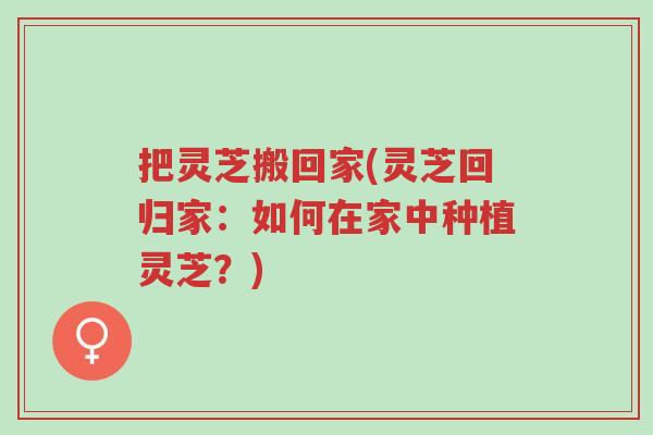 把灵芝搬回家(灵芝回归家:如何在家中种植灵芝?)-第1张图片-超越 把灵芝搬回家(灵芝回归家:如何在家中种植灵芝?)-第1张图片-超越