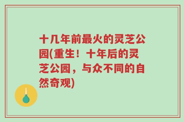 十几年前最火的灵芝公园(重生！十年后的灵芝公园，与众不同的自然奇观)-第1张图片-超越