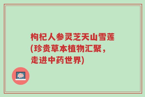 枸杞人参灵芝天山雪莲(珍贵草本植物汇聚,走进中药世界)-第1张图片-超越 枸杞人参灵芝天山雪莲(珍贵草本植物汇聚,走进中药世界)-第1张图片-超越