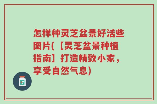 怎样种灵芝盆景好活些图片(【灵芝盆景种植指南】打造精致小家,享受自然气息)-第1张图片-超越 怎样种灵芝盆景好活些图片(【灵芝盆景种植指南】打造精致小家,享受自然气息)-第1张图片-超越