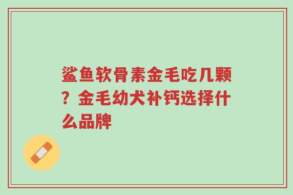 鲨鱼软骨素金毛吃几颗?金毛幼犬补钙选择什么品牌-第1张图片-超越 鲨鱼软骨素金毛吃几颗?金毛幼犬补钙选择什么品牌-第1张图片-超越