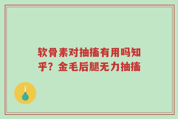 软骨素对抽搐有用吗知乎?金毛后腿无力抽搐-第1张图片-超越 软骨素对抽搐有用吗知乎?金毛后腿无力抽搐-第1张图片-超越