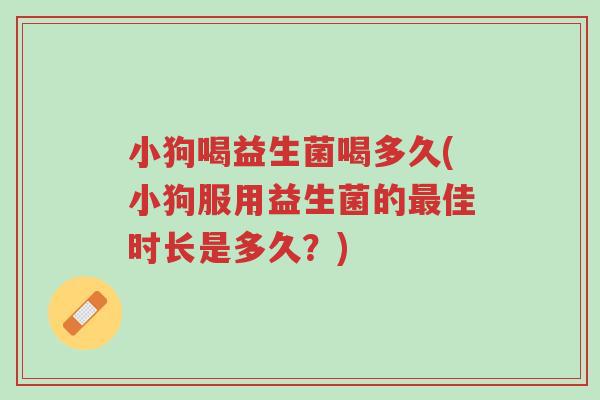 小狗喝益生菌喝多久(小狗服用益生菌的最佳时长是多久?)-第1张图片-超越 小狗喝益生菌喝多久(小狗服用益生菌的最佳时长是多久?)-第1张图片-超越