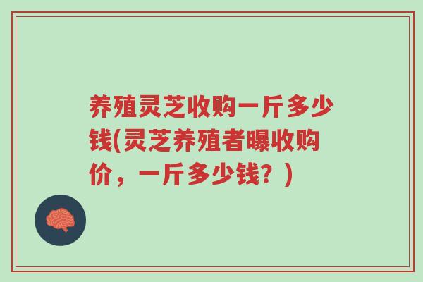 养殖灵芝收购一斤多少钱(灵芝养殖者曝收购价,一斤多少钱?)-第1张图片-超越 养殖灵芝收购一斤多少钱(灵芝养殖者曝收购价,一斤多少钱?)-第1张图片-超越