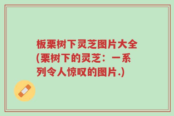 板栗树下灵芝图片大全(栗树下的灵芝:一系列令人惊叹的图片.)-第1张图片-超越 板栗树下灵芝图片大全(栗树下的灵芝:一系列令人惊叹的图片.)-第1张图片-超越