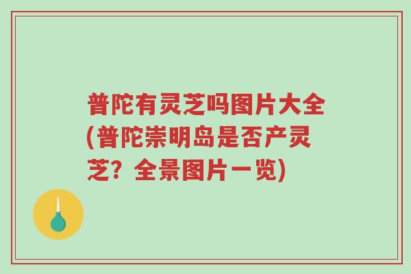 普陀有灵芝吗图片大全(普陀崇明岛是否产灵芝?全景图片一览)-第1张图片-超越 普陀有灵芝吗图片大全(普陀崇明岛是否产灵芝?全景图片一览)-第1张图片-超越