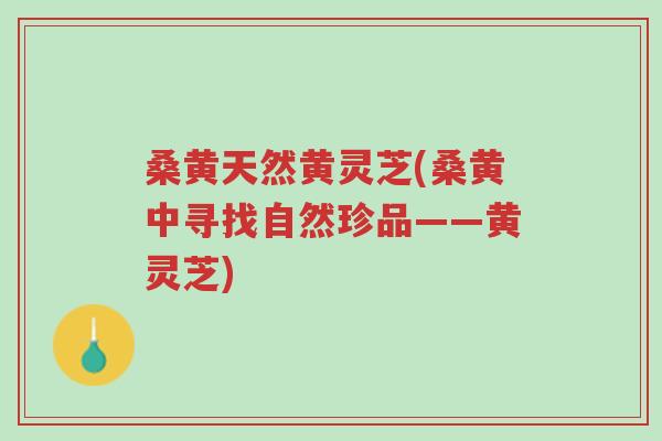 桑黄天然黄灵芝(桑黄中寻找自然珍品——黄灵芝)-第1张图片-超越 桑黄天然黄灵芝(桑黄中寻找自然珍品——黄灵芝)-第1张图片-超越