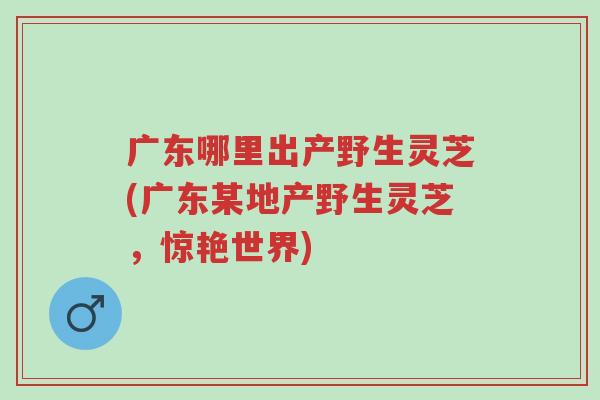 广东哪里出产野生灵芝(广东某地产野生灵芝,惊艳世界)-第1张图片-超越 广东哪里出产野生灵芝(广东某地产野生灵芝,惊艳世界)-第1张图片-超越