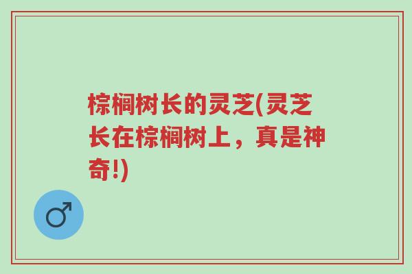 棕榈树长的灵芝(灵芝长在棕榈树上,真是神奇!)-第1张图片-超越 棕榈树长的灵芝(灵芝长在棕榈树上,真是神奇!)-第1张图片-超越
