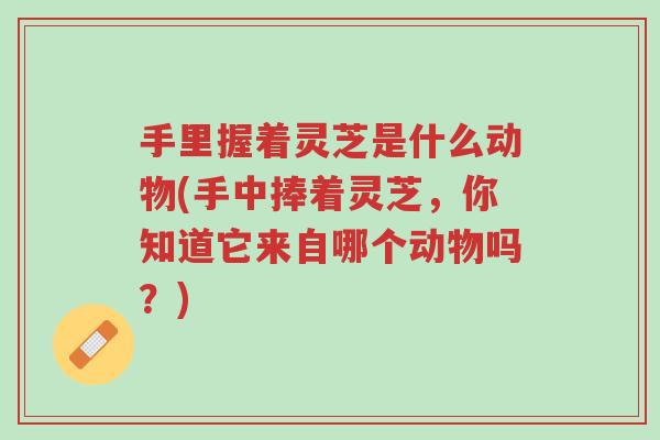 手里握着灵芝是什么动物(手中捧着灵芝,你知道它来自哪个动物吗?)-第1张图片-超越 手里握着灵芝是什么动物(手中捧着灵芝,你知道它来自哪个动物吗?)-第1张图片-超越