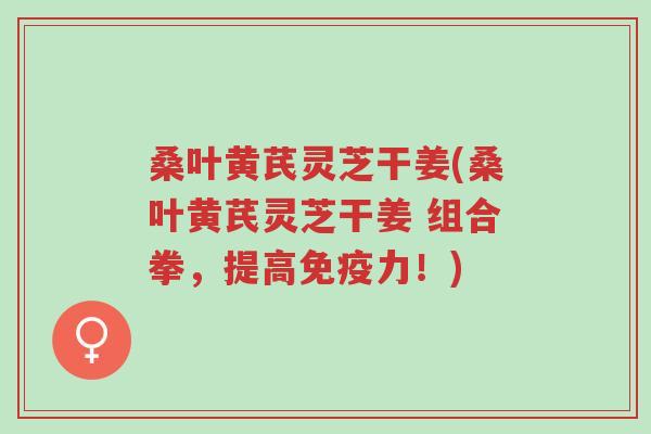 桑叶黄芪灵芝干姜(桑叶黄芪灵芝干姜 组合拳,提高免疫力!)-第1张图片-超越 桑叶黄芪灵芝干姜(桑叶黄芪灵芝干姜 组合拳,提高免疫力!)-第1张图片-超越