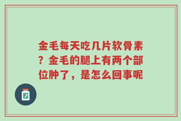 金毛每天吃几片软骨素?金毛的腿上有两个部位肿了,是怎么回事呢-第1张图片-超越 金毛每天吃几片软骨素?金毛的腿上有两个部位肿了,是怎么回事呢-第1张图片-超越
