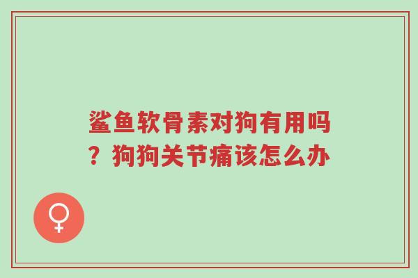 鲨鱼软骨素对狗有用吗?狗狗关节痛该怎么办-第1张图片-超越 鲨鱼软骨素对狗有用吗?狗狗关节痛该怎么办-第1张图片-超越