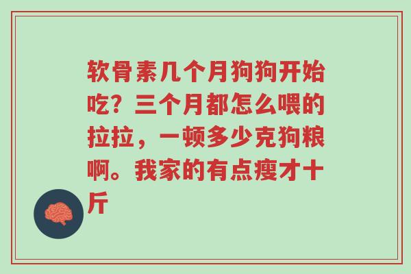 软骨素几个月狗狗开始吃?三个月都怎么喂的拉拉,一顿多少克狗粮啊。我家的有点瘦才十斤-第1张图片-超越 软骨素几个月狗狗开始吃?三个月都怎么喂的拉拉,一顿多少克狗粮啊。我家的有点瘦才十斤-第1张图片-超越