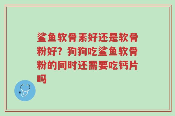 鲨鱼软骨素好还是软骨粉好?狗狗吃鲨鱼软骨粉的同时还需要吃钙片吗-第1张图片-超越 鲨鱼软骨素好还是软骨粉好?狗狗吃鲨鱼软骨粉的同时还需要吃钙片吗-第1张图片-超越