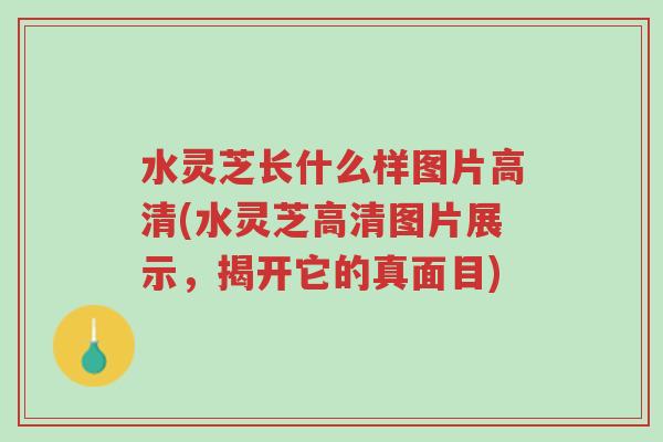 水灵芝长什么样图片高清(水灵芝高清图片展示,揭开它的真面目)-第1张图片-超越 水灵芝长什么样图片高清(水灵芝高清图片展示,揭开它的真面目)-第1张图片-超越
