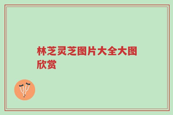 林芝灵芝图片大全大图欣赏-第1张图片-超越 林芝灵芝图片大全大图欣赏-第1张图片-超越