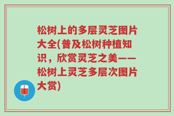松树上的多层灵芝图片大全(普及松树种植知识,欣赏灵芝之美——松树上灵芝多层次图片大赏)-第1张图片-超越 松树上的多层灵芝图片大全(普及松树种植知识,欣赏灵芝之美——松树上灵芝多层次图片大赏)-第1张图片-超越