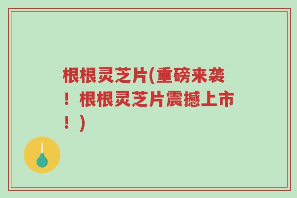 根根灵芝片(重磅来袭!根根灵芝片震撼上市!)-第1张图片-超越 根根灵芝片(重磅来袭!根根灵芝片震撼上市!)-第1张图片-超越