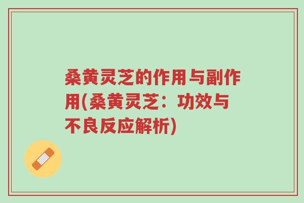 桑黄灵芝的作用与副作用(桑黄灵芝:功效与不良反应解析)-第1张图片-超越 桑黄灵芝的作用与副作用(桑黄灵芝:功效与不良反应解析)-第1张图片-超越