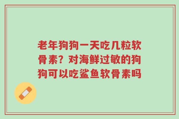 老年狗狗一天吃几粒软骨素?对海鲜过敏的狗狗可以吃鲨鱼软骨素吗-第1张图片-超越 老年狗狗一天吃几粒软骨素?对海鲜过敏的狗狗可以吃鲨鱼软骨素吗-第1张图片-超越