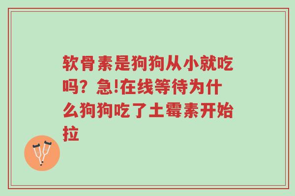 软骨素是狗狗从小就吃吗?急!在线等待为什么狗狗吃了土霉素开始拉-第1张图片-超越 软骨素是狗狗从小就吃吗?急!在线等待为什么狗狗吃了土霉素开始拉-第1张图片-超越