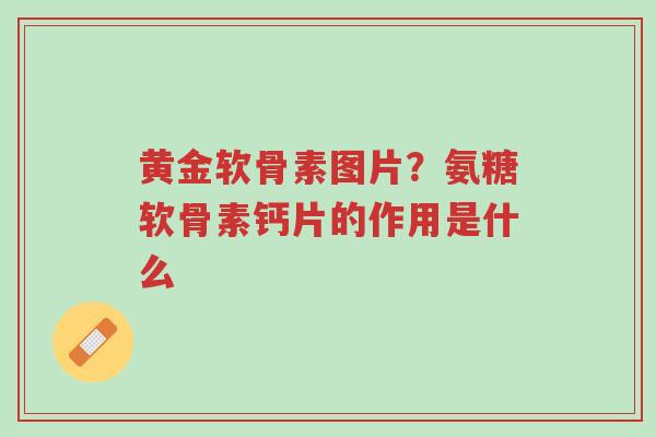 黄金软骨素图片?氨糖软骨素钙片的作用是什么-第1张图片-超越 黄金软骨素图片?氨糖软骨素钙片的作用是什么-第1张图片-超越