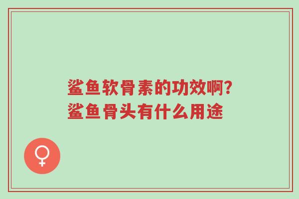 鲨鱼软骨素的功效啊?鲨鱼骨头有什么用途-第1张图片-超越 鲨鱼软骨素的功效啊?鲨鱼骨头有什么用途-第1张图片-超越