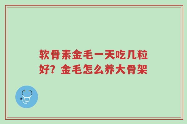 软骨素金毛一天吃几粒好?金毛怎么养大骨架-第1张图片-超越 软骨素金毛一天吃几粒好?金毛怎么养大骨架-第1张图片-超越