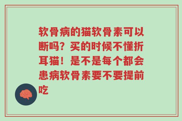软骨病的猫软骨素可以断吗?买的时候不懂折耳猫!是不是每个都会患病软骨素要不要提前吃-第1张图片-超越 软骨病的猫软骨素可以断吗?买的时候不懂折耳猫!是不是每个都会患病软骨素要不要提前吃-第1张图片-超越