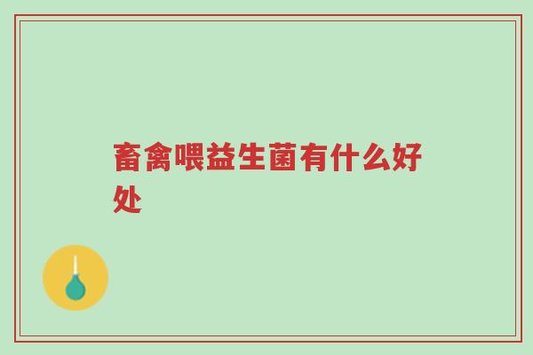 畜禽喂益生菌有什么好处-第1张图片-超越 畜禽喂益生菌有什么好处-第1张图片-超越