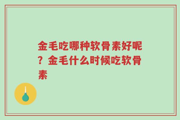 金毛吃哪种软骨素好呢?金毛什么时候吃软骨素-第1张图片-超越 金毛吃哪种软骨素好呢?金毛什么时候吃软骨素-第1张图片-超越