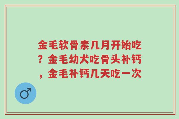 金毛软骨素几月开始吃？金毛幼犬吃骨头补钙，金毛补钙几天吃一次-第1张图片-超越