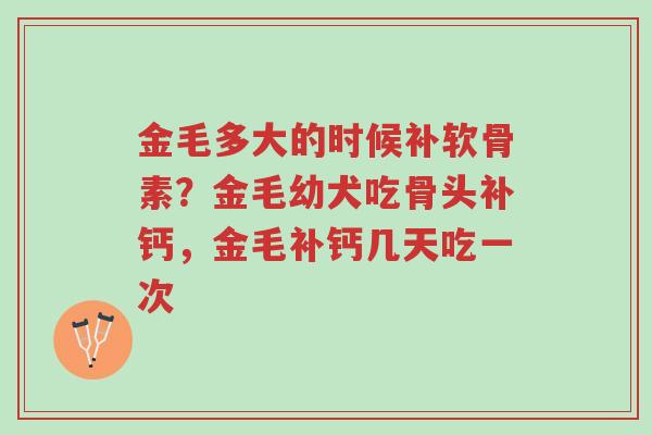金毛多大的时候补软骨素?金毛幼犬吃骨头补钙,金毛补钙几天吃一次-第1张图片-超越 金毛多大的时候补软骨素?金毛幼犬吃骨头补钙,金毛补钙几天吃一次-第1张图片-超越