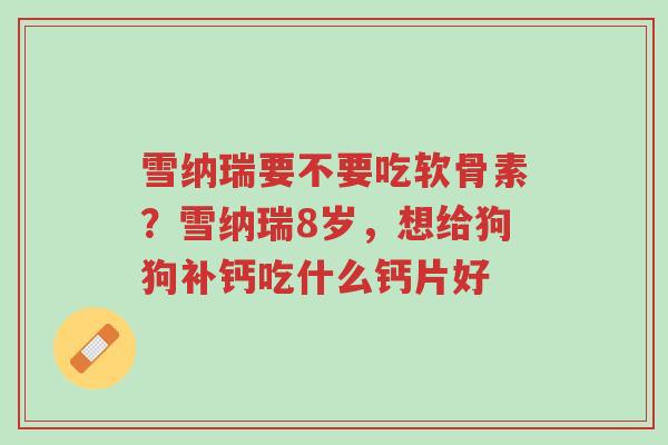 雪纳瑞要不要吃软骨素?雪纳瑞8岁,想给狗狗补钙吃什么钙片好-第1张图片-超越 雪纳瑞要不要吃软骨素?雪纳瑞8岁,想给狗狗补钙吃什么钙片好-第1张图片-超越