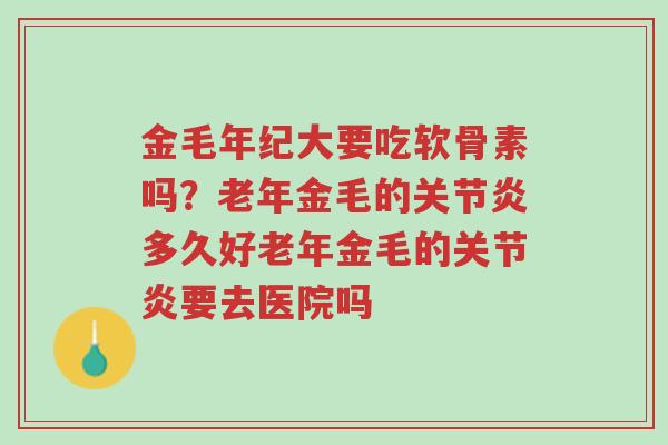 金毛年纪大要吃软骨素吗?老年金毛的关节炎多久好老年金毛的关节炎要去医院吗-第1张图片-超越 金毛年纪大要吃软骨素吗?老年金毛的关节炎多久好老年金毛的关节炎要去医院吗-第1张图片-超越