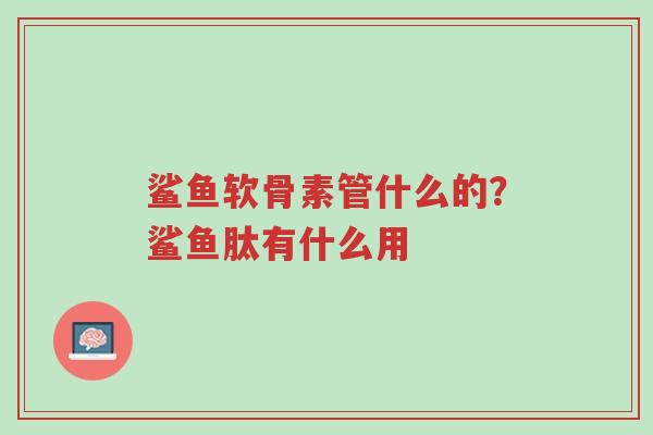 鲨鱼软骨素管什么的?鲨鱼肽有什么用-第1张图片-超越 鲨鱼软骨素管什么的?鲨鱼肽有什么用-第1张图片-超越