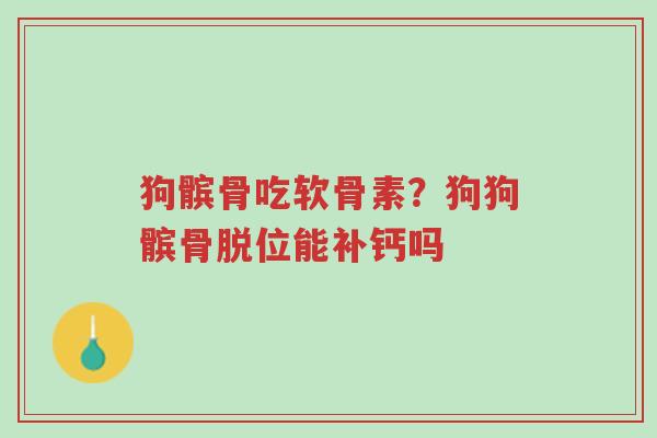 狗髌骨吃软骨素?狗狗髌骨脱位能补钙吗-第1张图片-超越 狗髌骨吃软骨素?狗狗髌骨脱位能补钙吗-第1张图片-超越