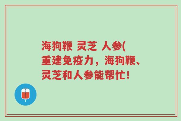 海狗鞭 灵芝 人参(重建免疫力,海狗鞭、灵芝和人参能帮忙!-第1张图片-超越 海狗鞭 灵芝 人参(重建免疫力,海狗鞭、灵芝和人参能帮忙!-第1张图片-超越