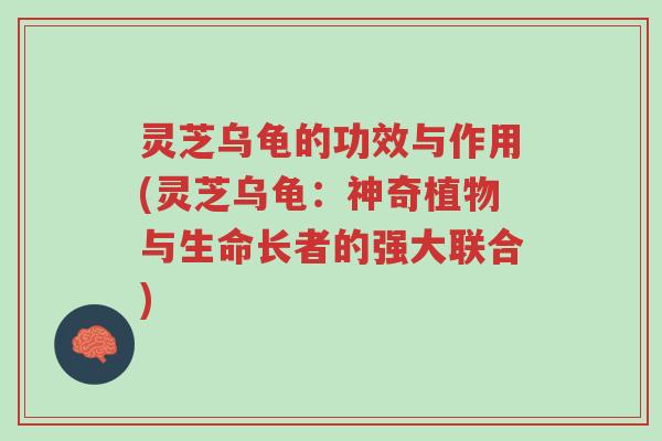 灵芝乌龟的功效与作用(灵芝乌龟:神奇植物与生命长者的强大联合)-第1张图片-超越 灵芝乌龟的功效与作用(灵芝乌龟:神奇植物与生命长者的强大联合)-第1张图片-超越
