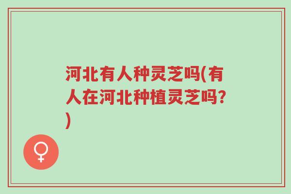 河北有人种灵芝吗(有人在河北种植灵芝吗?)-第1张图片-超越 河北有人种灵芝吗(有人在河北种植灵芝吗?)-第1张图片-超越