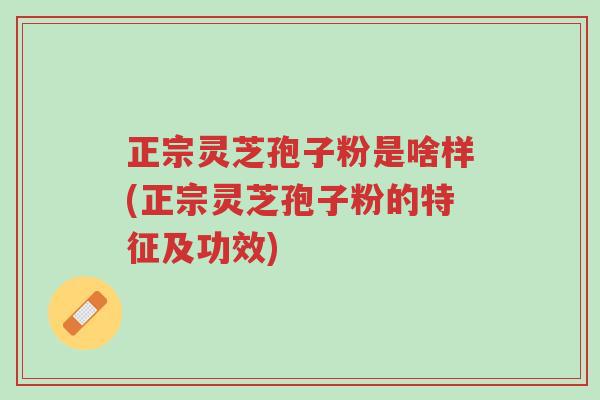 正宗灵芝孢子粉是啥样(正宗灵芝孢子粉的特征及功效)-第1张图片-超越 正宗灵芝孢子粉是啥样(正宗灵芝孢子粉的特征及功效)-第1张图片-超越